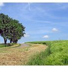 Sommer auf dem Gau 1