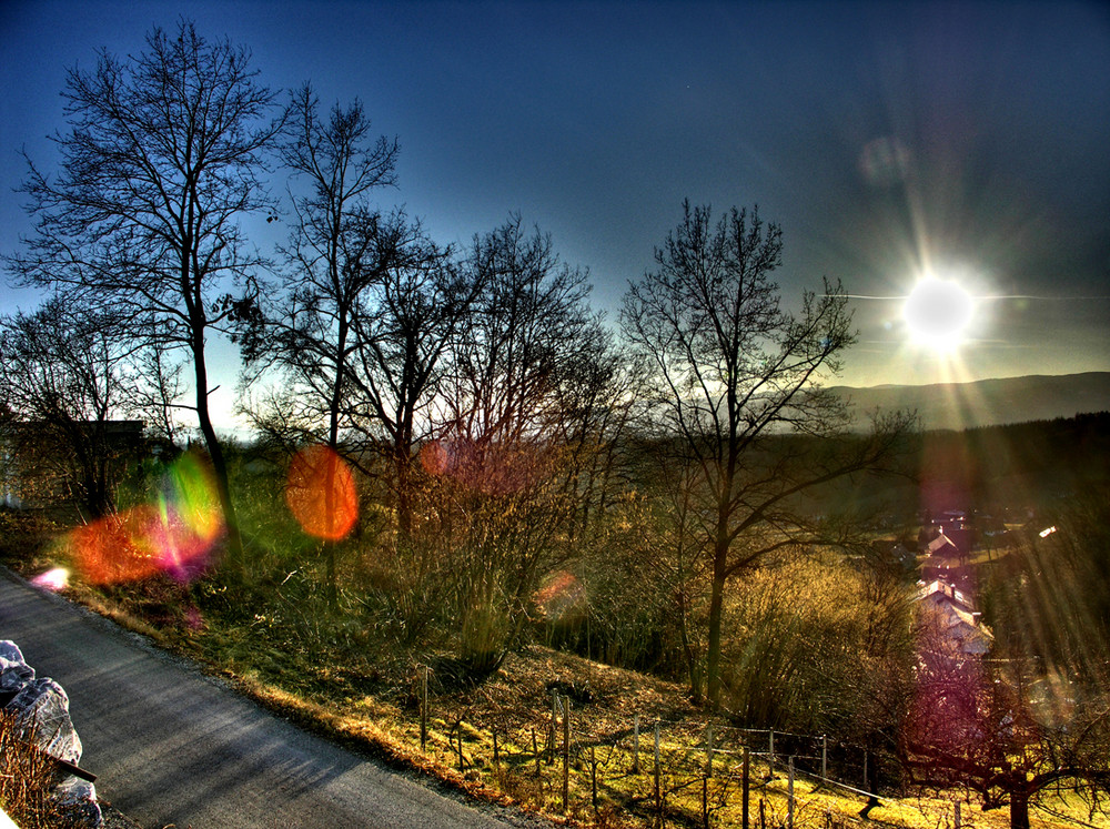 Sommer auf dem Gedersberg/Graz