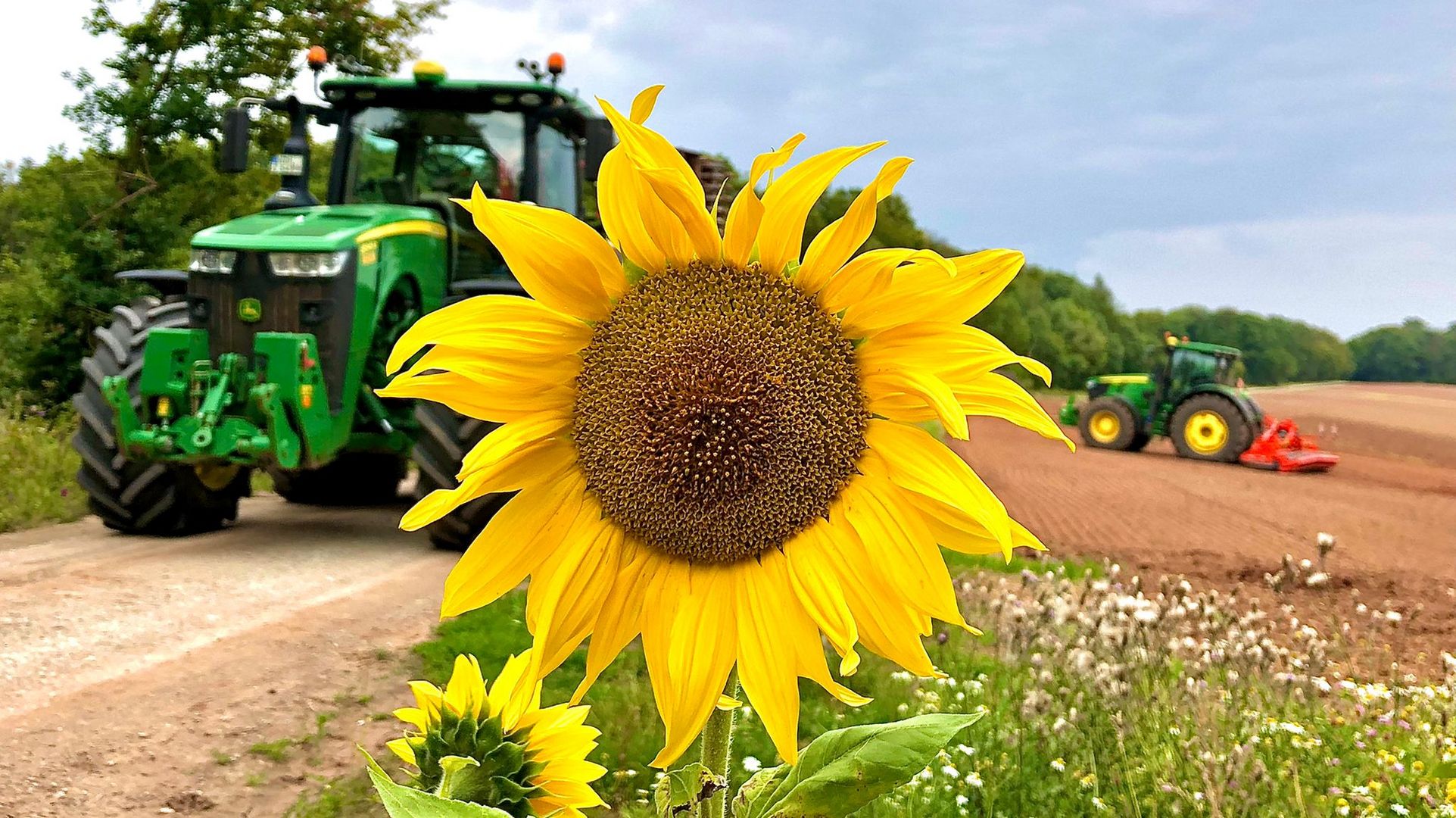 Sommer auf dem Land