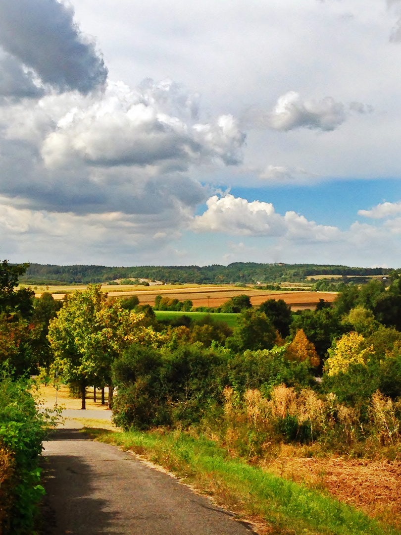 Sommer auf dem Land