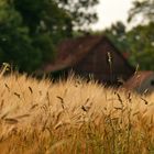 Sommer auf dem Land.