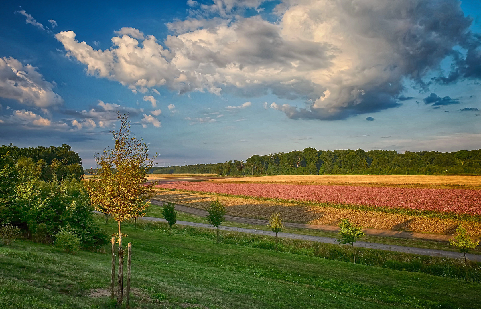Sommer auf dem Land Foto & Bild natur, jahreszeiten, sommer Bilder