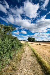 Sommer auf dem Land (2)