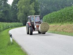 Sommer auf dem Land...