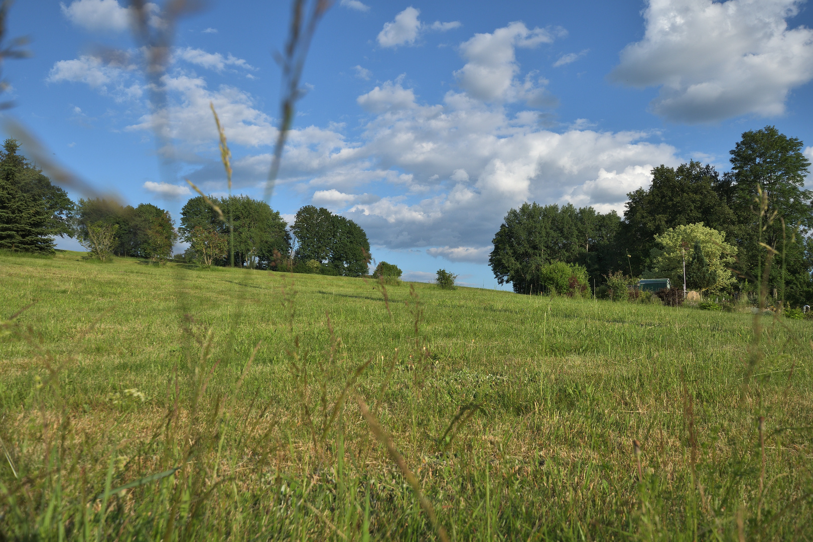 Sommer auf dem Land 