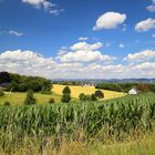 Sommer auf dem Land