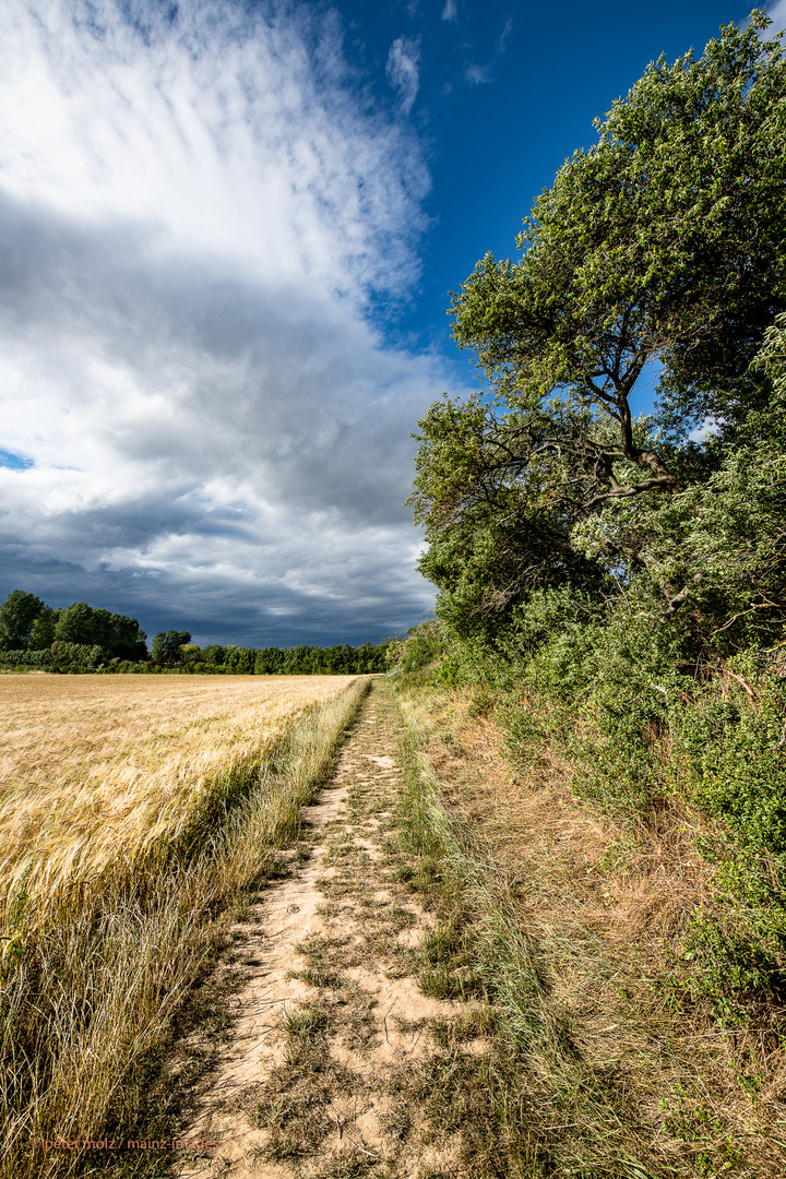 Sommer auf dem Land (3)