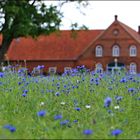 Sommer auf dem Land