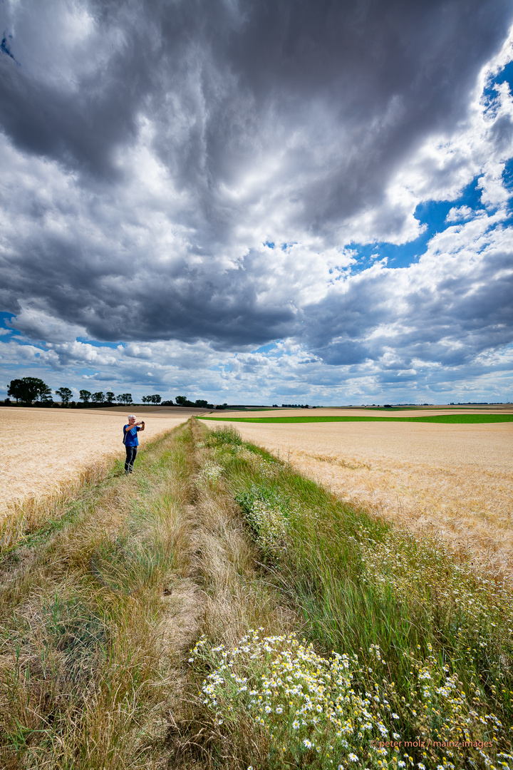 Sommer auf dem Land (5)