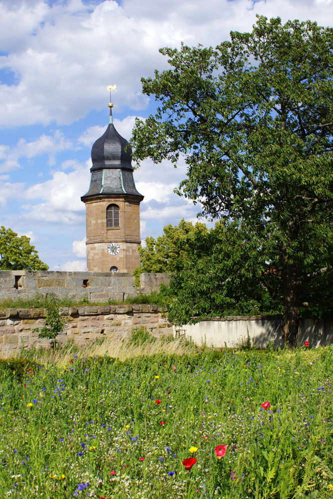 Sommer auf dem Land