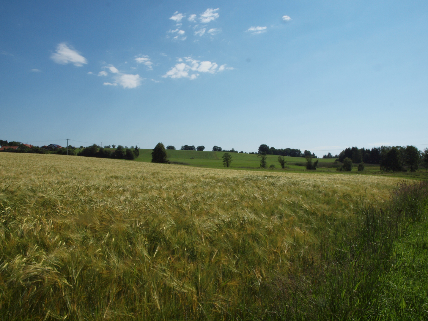 Sommer auf dem Land