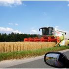 Sommer auf dem Land