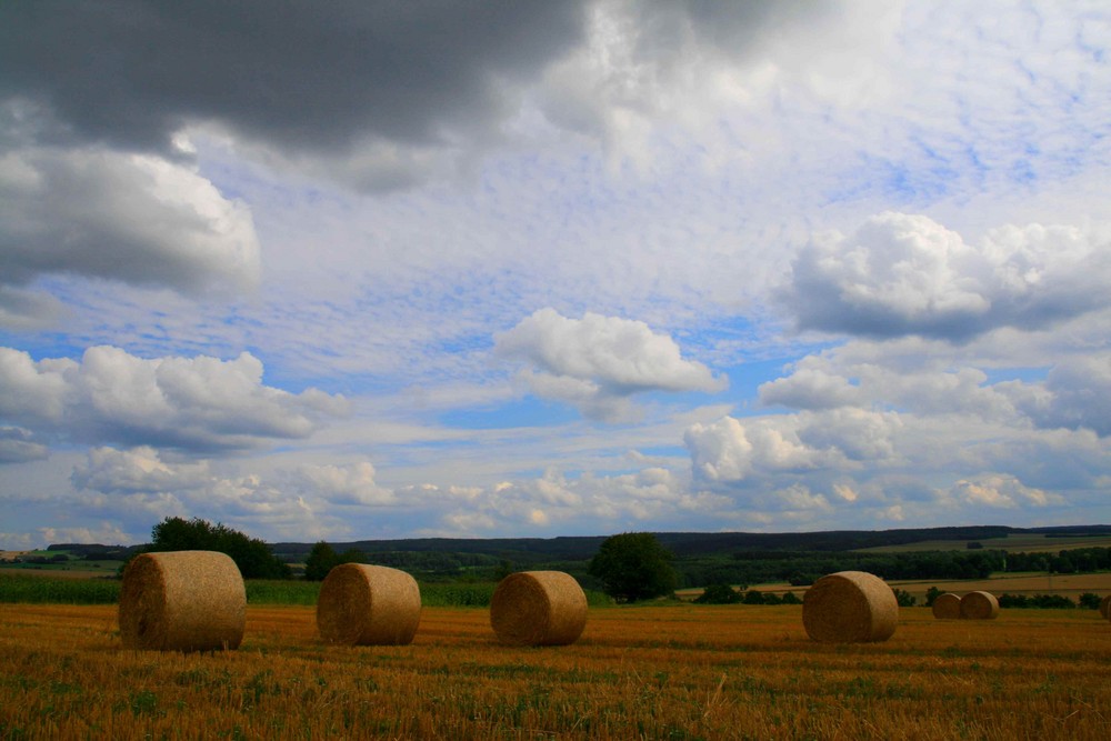 .....Sommer auf dem Land