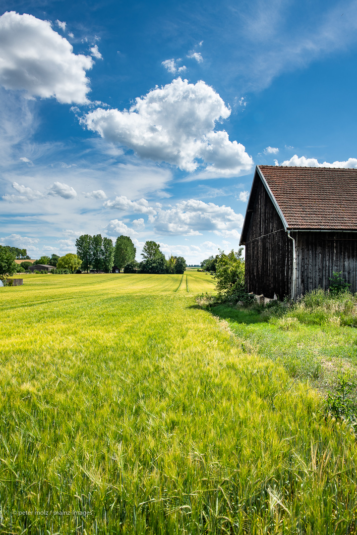 Sommer auf dem Land