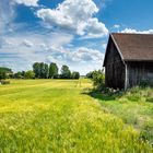 Sommer auf dem Land