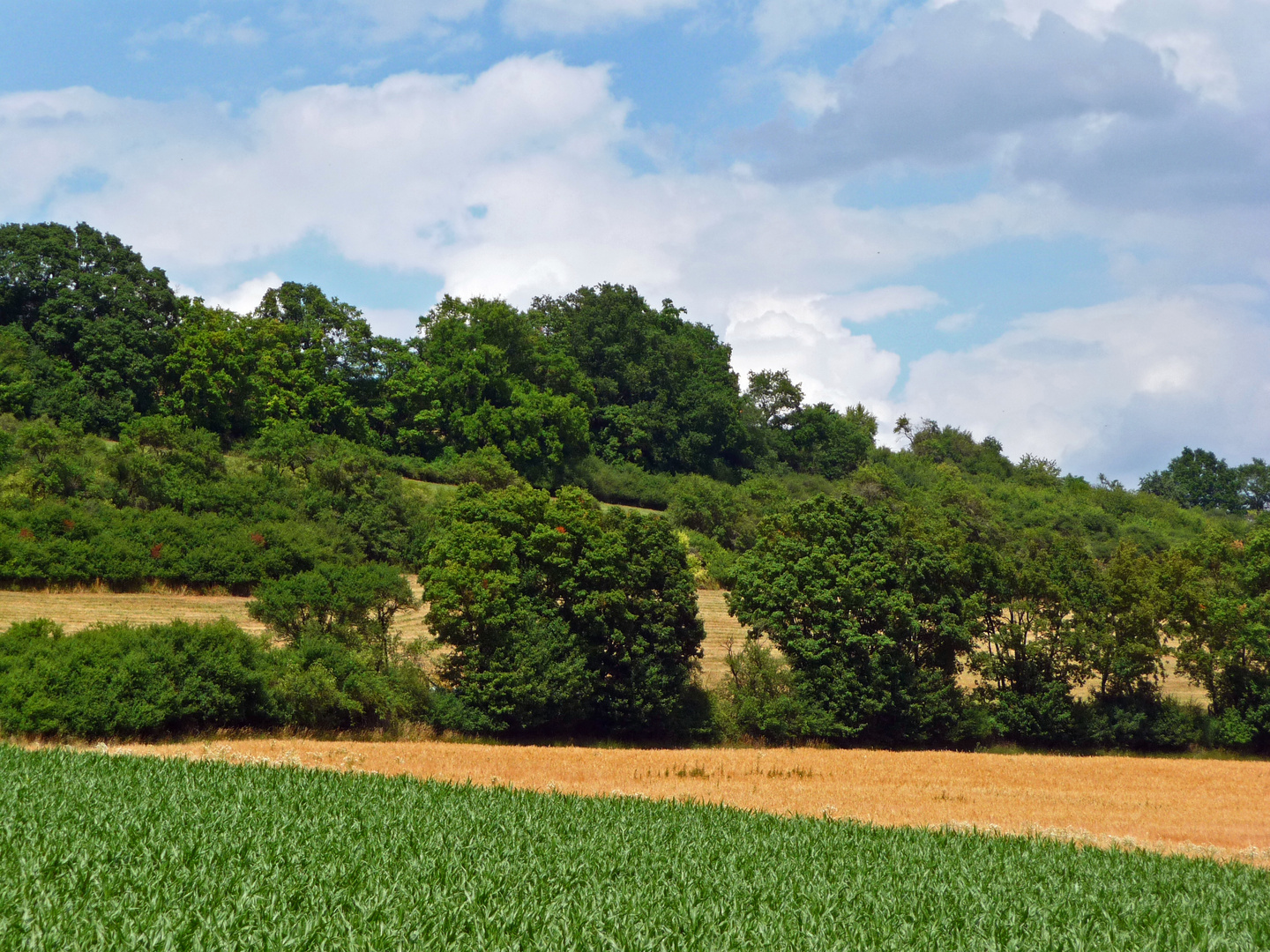 Sommer auf dem Land I