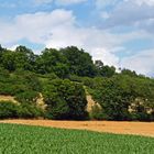 Sommer auf dem Land I