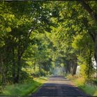 Sommer auf dem Lande