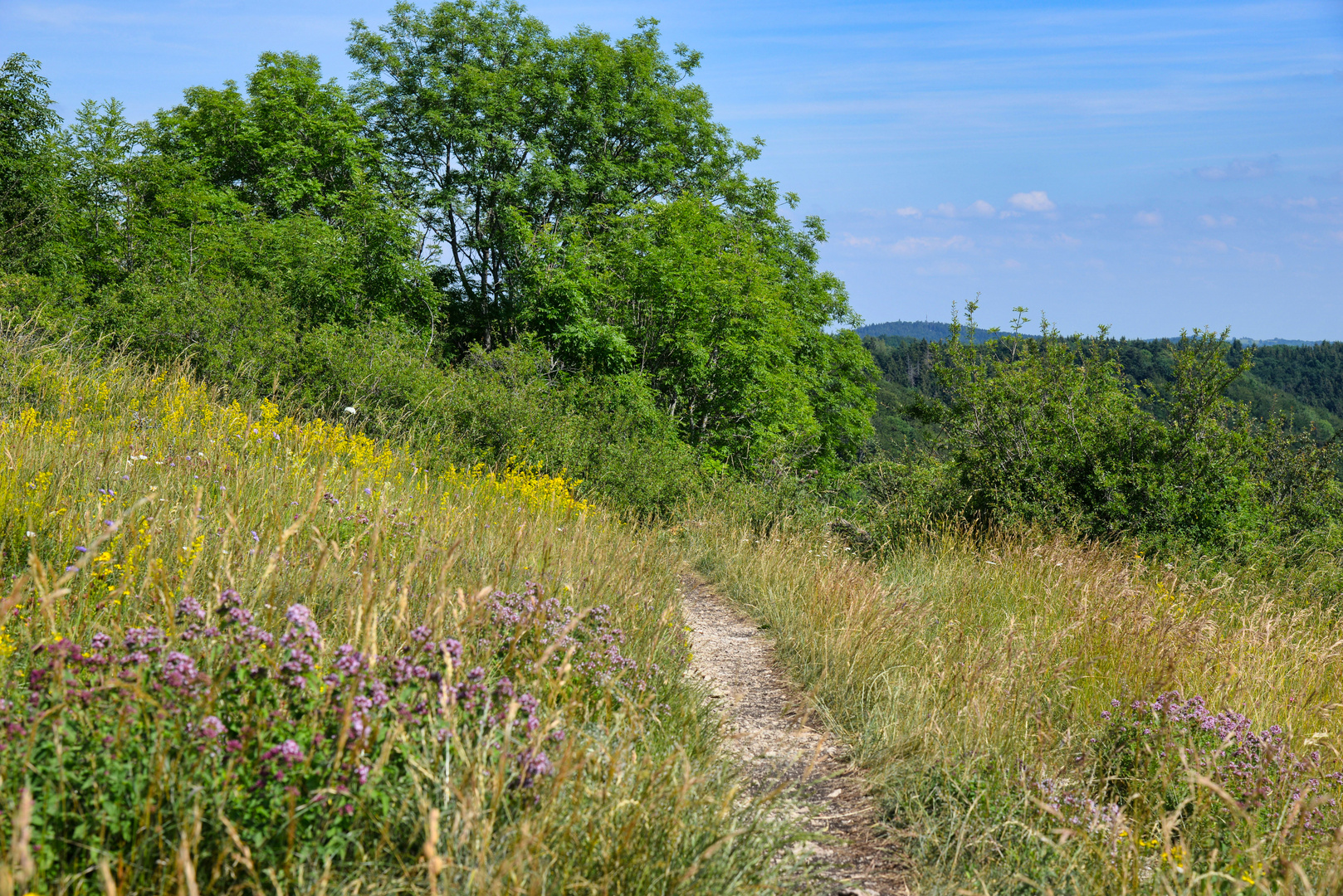 Sommer auf dem Lochenstein