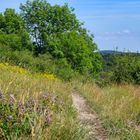 Sommer auf dem Lochenstein