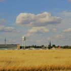 Sommer auf dem Tempelhofer Feld