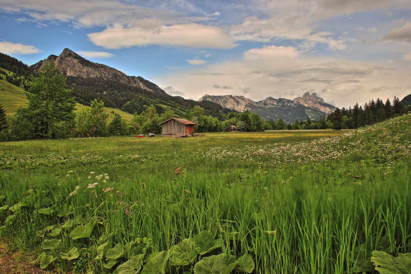 Sommer auf den Bergen