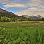 Sommer auf den Bergen