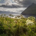 Sommer auf den Färöer Inseln