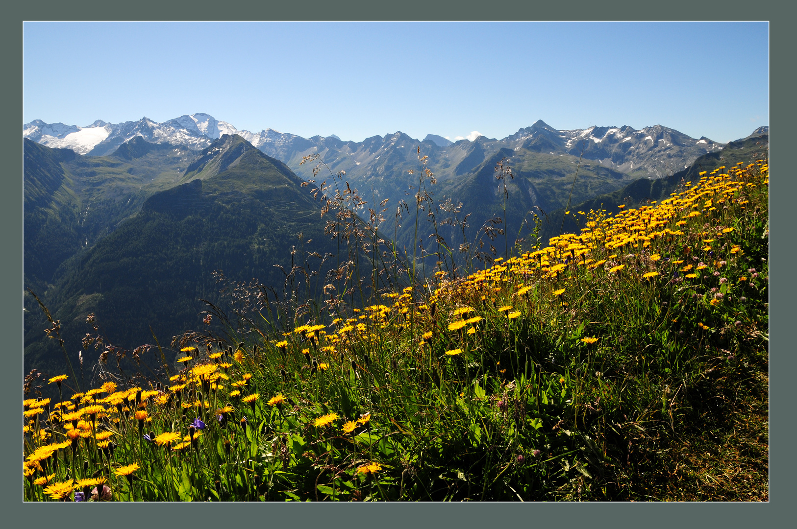 Sommer auf den Gasteiner Bergen - Bergstation Stubnerkogel