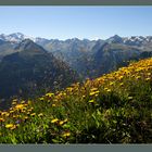 Sommer auf den Gasteiner Bergen - Bergstation Stubnerkogel