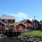 Sommer auf den Lofoten