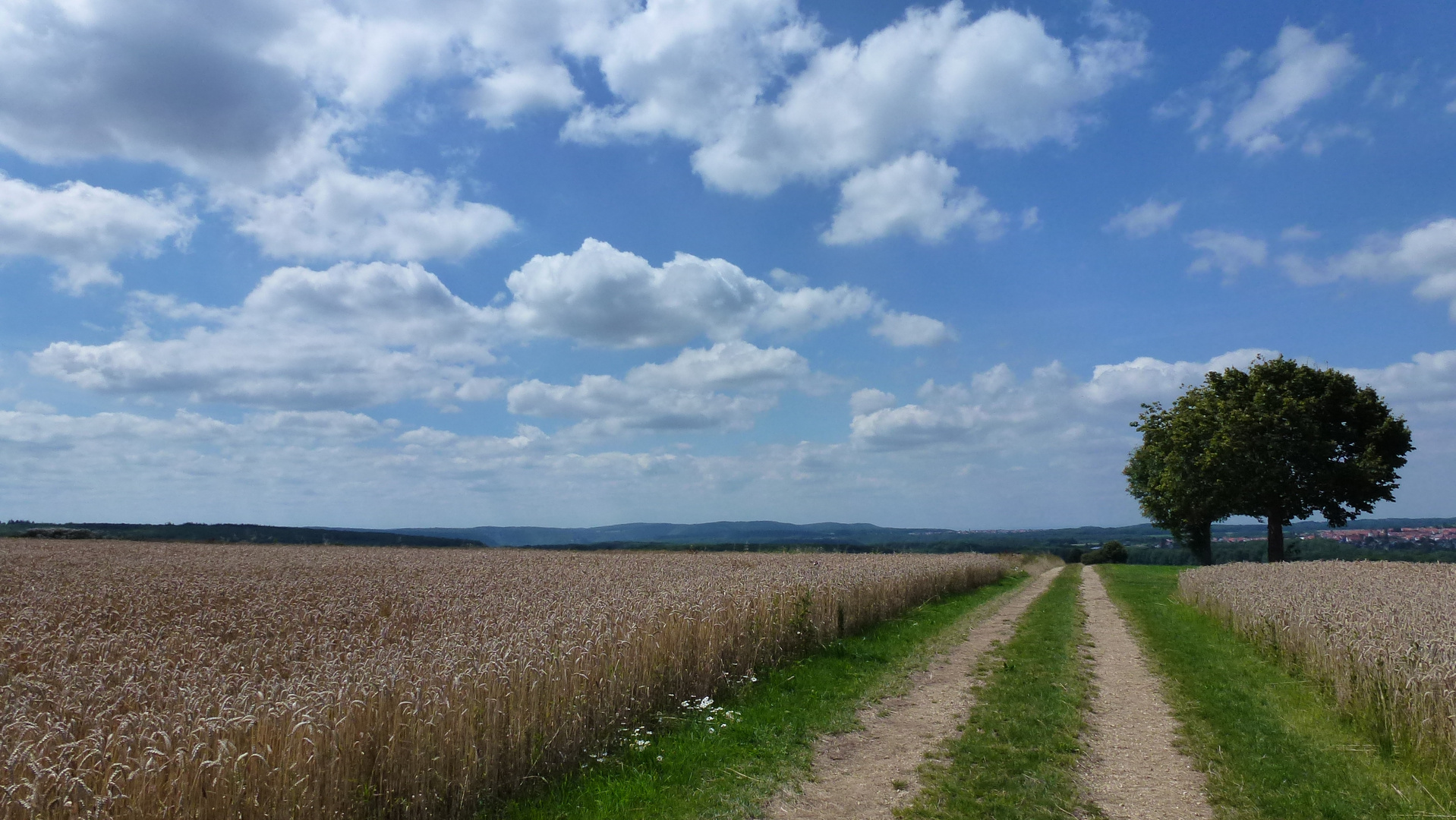 Sommer auf der Alb