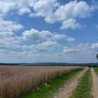 Sommer auf der Alb