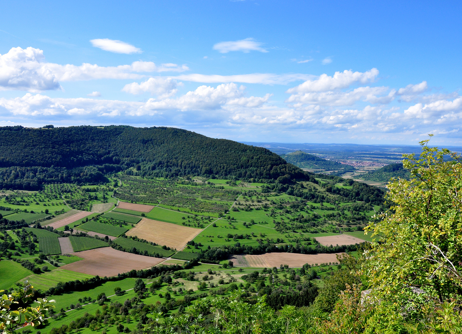 Sommer auf der Alb