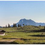 Sommer auf der Alm