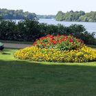 Sommer auf der Berliner Pfaueninsel