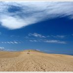 Sommer auf der Düne