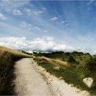 Sommer auf der Ehrenbürg II