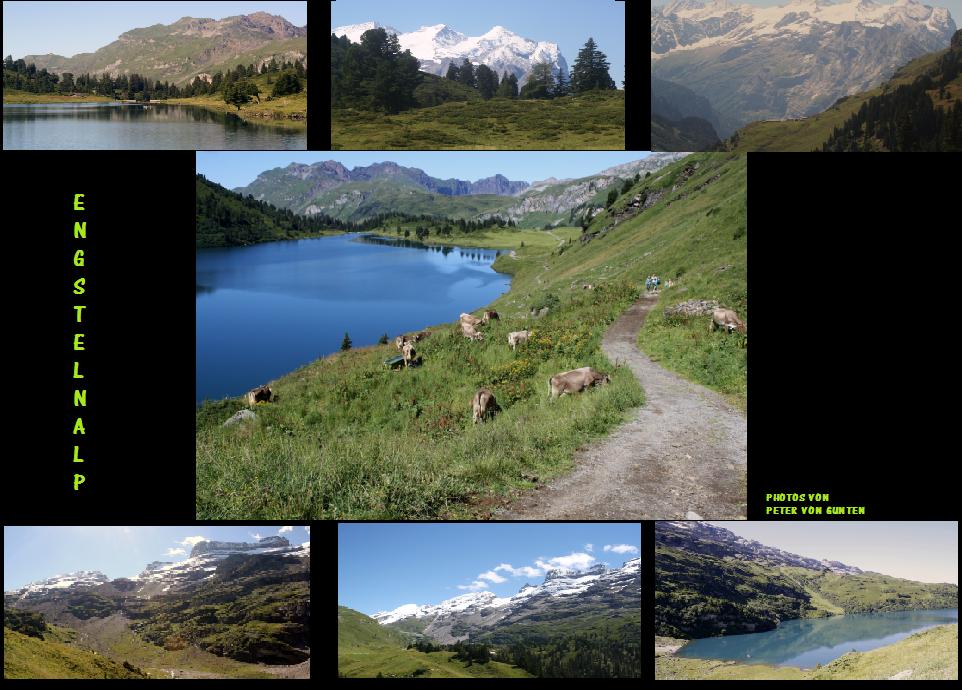 SOMMER AUF DER ENGSTLENALP IM BERNER-OBERLAND