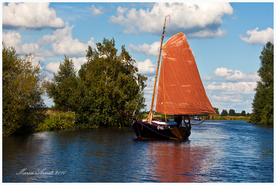 Sommer auf der Hamme...