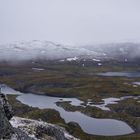 Sommer auf der Hardangervidda