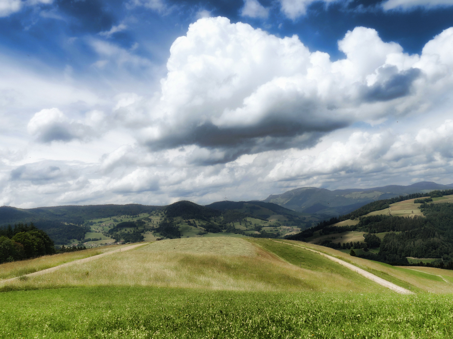 Sommer auf der Höhe....