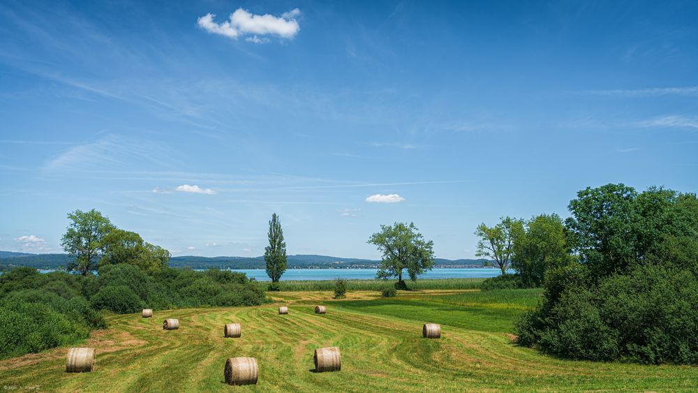 Sommer auf der Höri