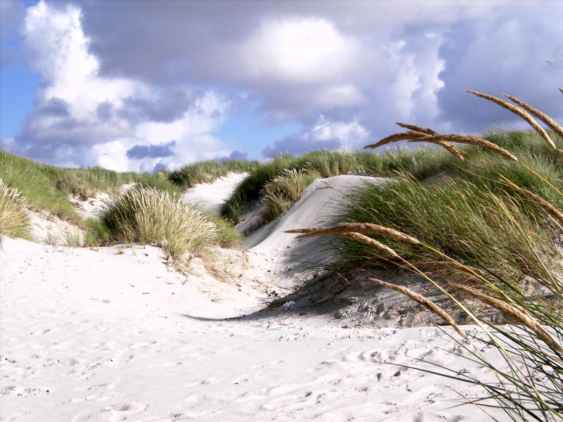 Sommer auf der Insel