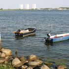 Sommer auf der Insel Fehmarn