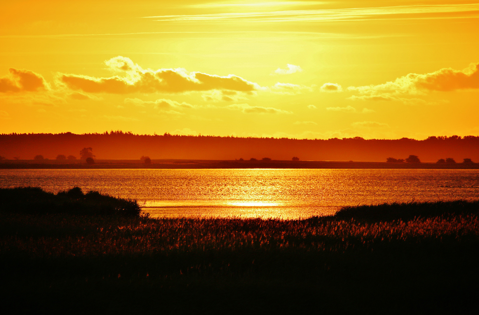 Sommer auf der Insel Rügen/ Foto 1