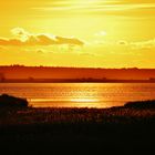 Sommer auf der Insel Rügen/ Foto 1