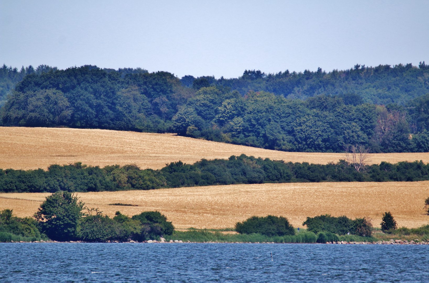 Sommer auf der Insel Rügen/ Foto 12 