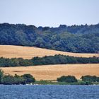 Sommer auf der Insel Rügen/ Foto 12 