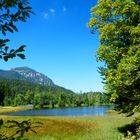 °°°° Sommer auf der Moni-Alm °°°°